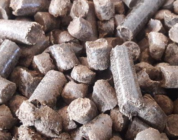 Palm Kernel Shell Pellets